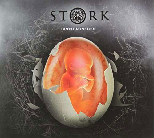 Broken Pieces - Stork - Musikk - CDBABY - 0635961306528 - 29. april 2014