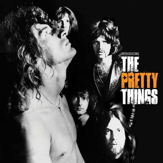 Introducing the Pretty Things - Pretty Things - Musik - RECALL - 0636551490528 - 18. April 2013