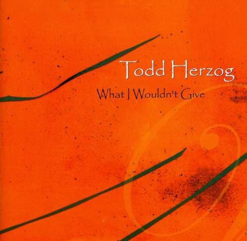 Cover for Todd Herzog · What I Wouldn't Give (CD) (2001)