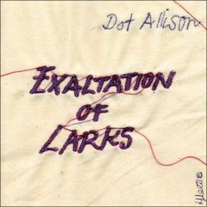 Exaltation Of Larks - Dot Allison - Musik - COOKING VINYL - 0711297480528 - 6 september 2007