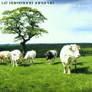 Cover for Le Hammond Inferno · My First Political Dance (CD) (2001)