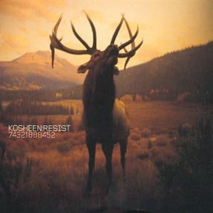 Cover for Kosheen · Resist (CD) (2005)