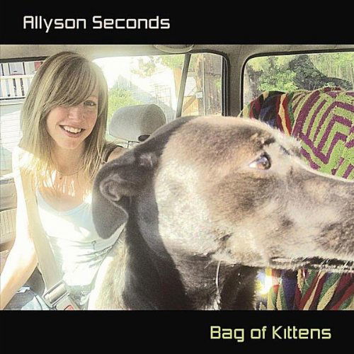 Cover for Allyson Seconds · Bag of Kittens (CD) (2010)