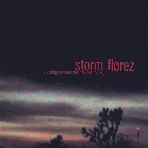 Standing Between the Day & Night - Storm Florez - Musik - Storm Florez - 0782478902528 - 5. juni 2001