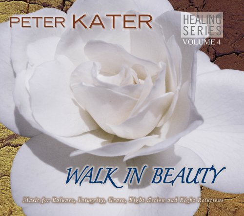 Cover for Peter Kater · Walk In Beauty (CD) (2009)