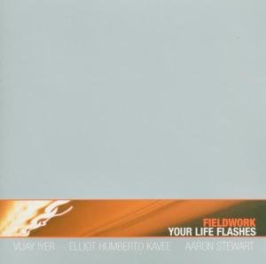 Cover for Fieldwork · Your Life Flashes (CD) (2003)