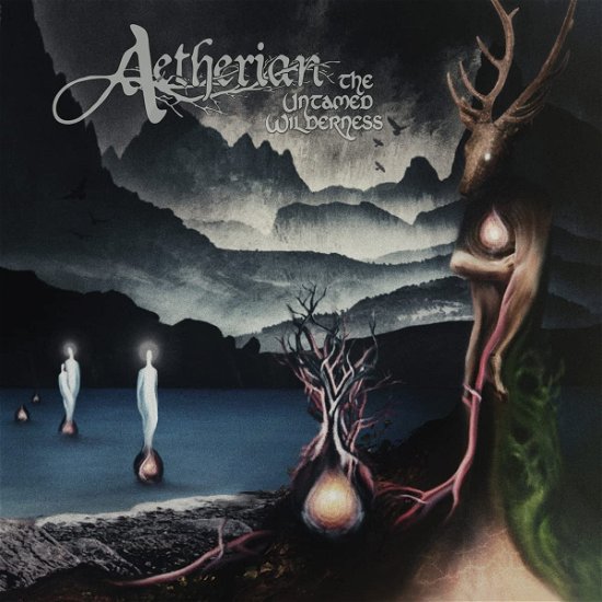 Cover for Aetherian · Untamed Wilderness (CD) (2023)