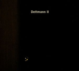 Dettmann II - Marcel Dettmann - Musikk - OSTGUT TON - 0880319631528 - 17. september 2013