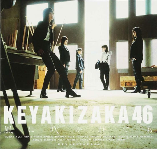 Kaze Ni Fukaretemo: Deluxe Version C - Keyakizaka46 - Música - Sony - 0889854993528 - 16 de novembro de 2018