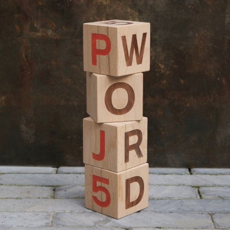 Cover for Pj5 · Word (CD) (2013)