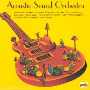 Acoustic Sound Orchestra - Acoustic Sound Orchestra - Musik - MAGIC - 3259119898528 - 24. Oktober 2002