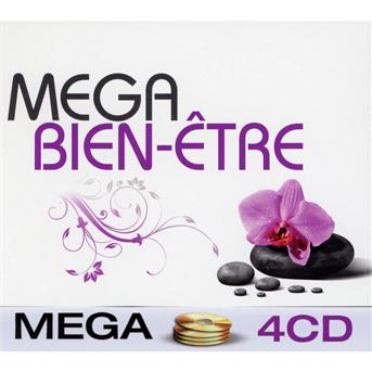 Mega Bien-Etre - V/A - Musiikki - WAGRAM - 3596972206528 - torstai 18. marraskuuta 2010