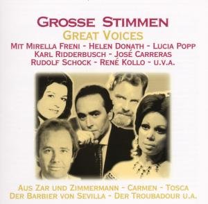 Grosse Stimmen / Great Voices - V/A - Musiikki - WORLD OF CLASSICS - 4002587018528 - lauantai 1. toukokuuta 2021
