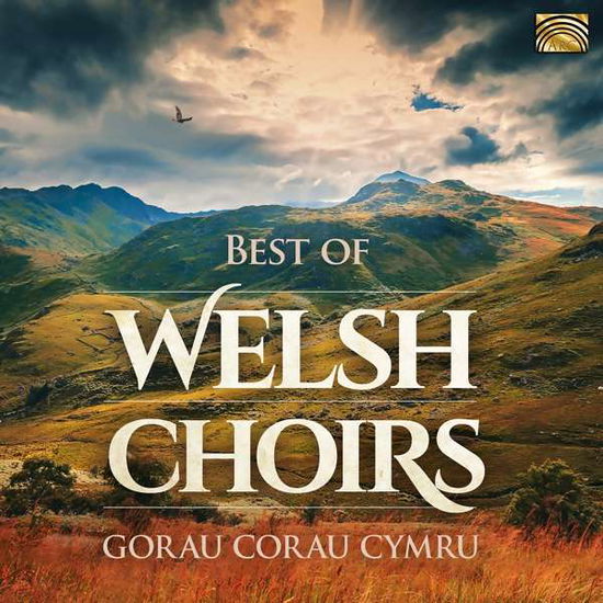 Best of Welsh Choirs / Various - Best of Welsh Choirs / Various - Música - Arc Music - 5019396286528 - 23 de agosto de 2019