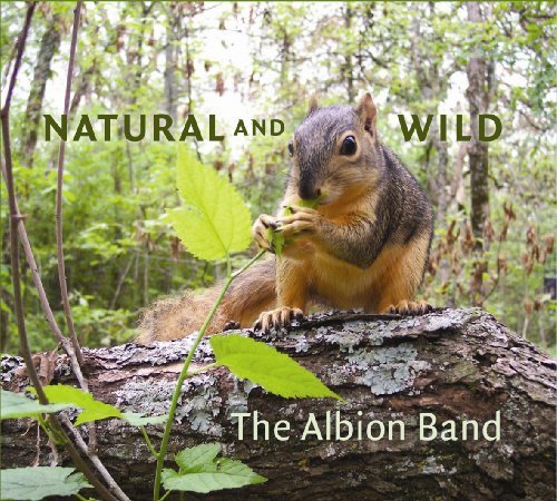 Natural & Wild - Albion Band - Musik - TALKING ELEPHANT - 5028479015528 - 16. marts 2010