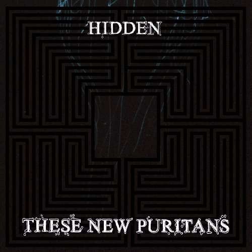 Hidden - These New Puritans - Musikk - DOMINO - 5050954209528 - 18. januar 2010