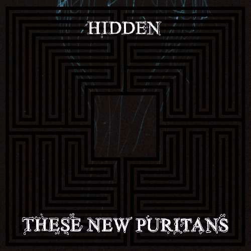 Hidden - These New Puritans - Musikk - Angular Recording Corporation - 5050954209528 - 18. januar 2010