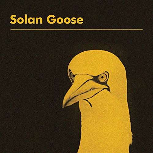 Cover for Erland Cooper · Solan Goose (LP) (2018)