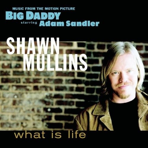 Cover for Shawn Mullins · What Is Life (SCD) (1999)