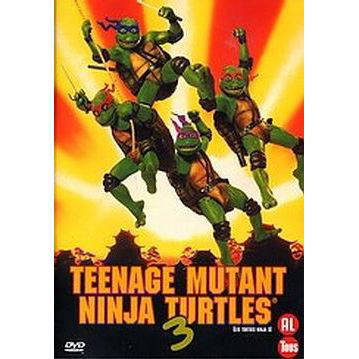 Cover for Teenage Mutant Ninja Turtles 3 (DVD)