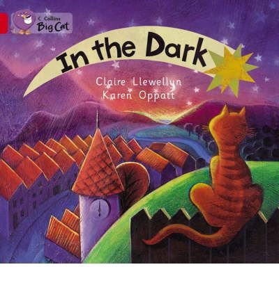 Claire Llewellyn · In the Dark: Band 02a/Red a - Collins Big Cat (Pocketbok) (2004)