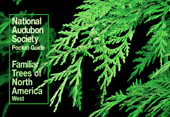 Cover for National Audubon Society · National Audubon Society Pocket Guide to Familiar Trees: West - National Audubon Society Pocket Guides (Paperback Book) [A Chanticleer Press Ed edition] (1987)