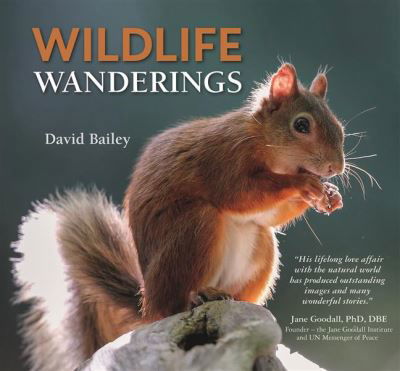 Cover for David Bailey · Wildlife Wanderings (Gebundenes Buch) (2020)