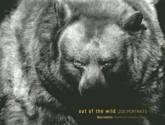 Out of the Wild: Zoo Portraits - Boza Ivanovic - Kirjat - Glitterati Inc - 9780988174528 - keskiviikko 16. lokakuuta 2013
