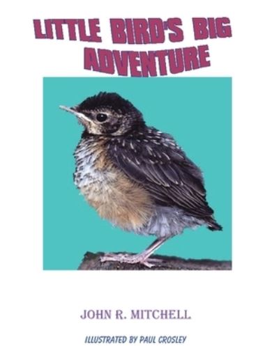 Cover for John Roy Mitchell · Little Bird's Big Adventure (Paperback Book) (2020)