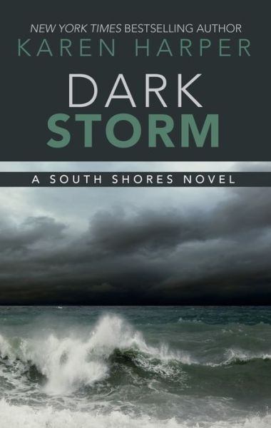 Cover for Karen Harper · Dark Storm (Hardcover Book) (2019)