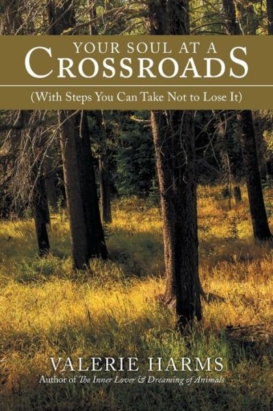 Your Soul at a Crossroads: (With Steps You Can Take Not to Lose It) - Valerie Harms - Libros - iUniverse - 9781475998528 - 24 de julio de 2013