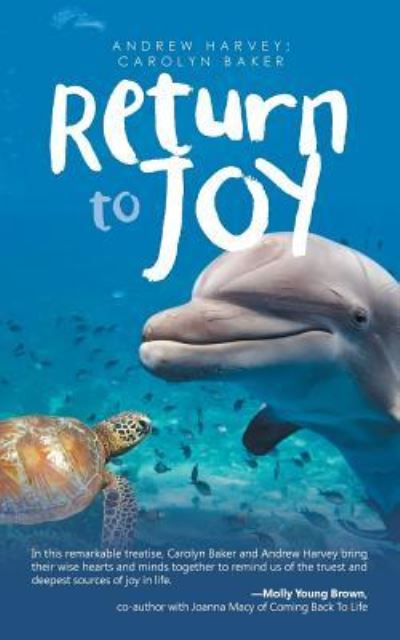 Return to Joy - Andrew Harvey - Boeken - iUniverse - 9781532008528 - 13 oktober 2016