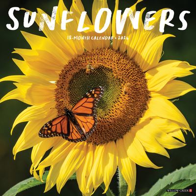 Willow Creek Press · Sunflowers 2024 12 X 12 Wall Calendar (Kalender) (2023)