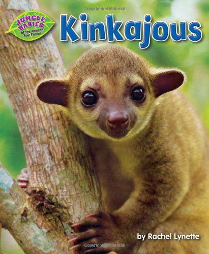 Cover for Rachel Lynette · Kinkajous (Jungle Babies of the Amazon Rain Forest) (Hardcover Book) (2013)