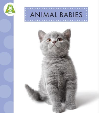 Cover for Anastasia Suen · Animal Babies (Bok) (2024)