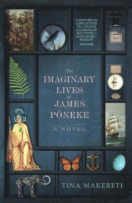 Cover for Tina Makereti · The Imaginary Lives of James Poneke (Paperback Book) (2019)