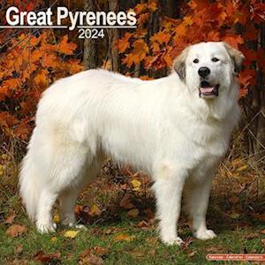 Great Pyrenees Calendar 2024 Square Dog Breed Wall Calendar - 16 Month