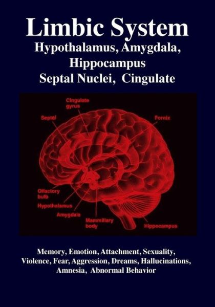 Cover for R. Gabriel Joseph · Limbic System : Amygdala, Hypothalamus, Septal Nuclei, Cingulate, Hippocampus : Emotion, Memory, Language, Development, Evolution, Love, Attachment, ... Aggression, Dreams, Hallucinations, Amnesia (Paperback Book) (2017)