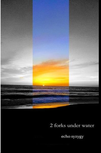 Cover for Echo Syzygy · 2 forks under water (Paperback Book) (2018)