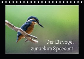 Der Eisvogel zurück im Spessart - Reibert - Książki -  - 9783670872528 - 