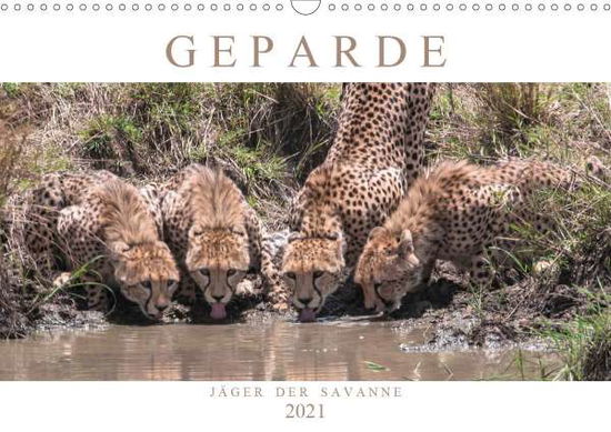 Cover for Lippmann · Geparde - Jäger der Savanne (W (Book)