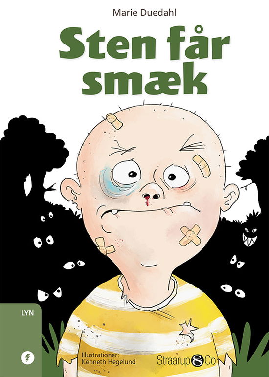 Lyn: Sten får smæk - Marie Duedahl - Livros - Straarup & Co - 9788770180528 - 13 de agosto de 2018