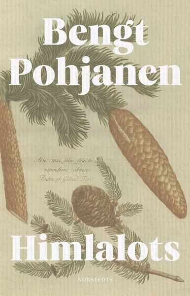 Himlalots - Bengt Pohjanen - Kirjat - Norstedts - 9789113115528 - torstai 3. joulukuuta 2020