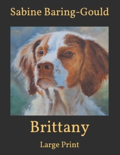 Cover for Sabine Baring-Gould · Brittany (Paperback Book) (2021)