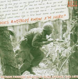 Cover for Does Anybody Know I'm Here: Vietnam Thro / Various · Does Anybody Know Im Here (CD) (2005)