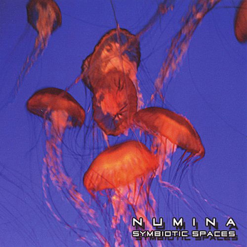 Cover for Numina · Symbiotic Spaces (CD) (2008)