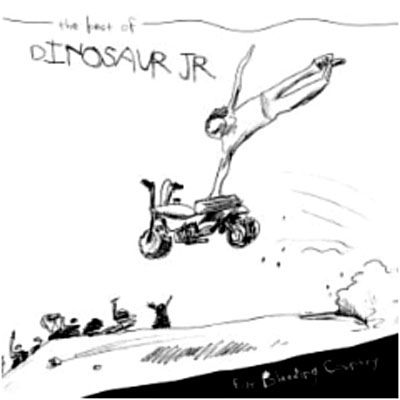 Dinosaur Jr. - Ear-Bleeding Country:Best Of - Dinosaur Jr - Music - Rhino Entertainment Company - 0081227839529 - October 2, 2001