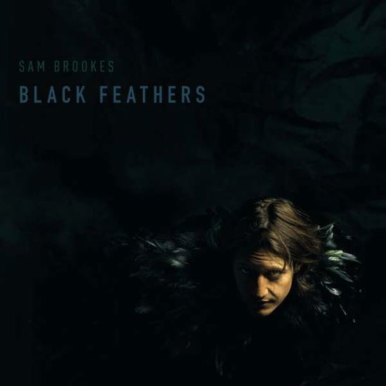 Cover for Sam Brookes · Black Feathers (LP) (2020)