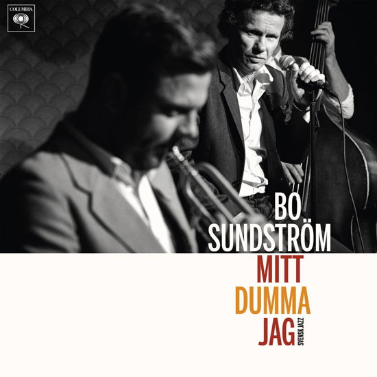 Mitt Dumma Jag - Svensk Jazz - Bo Sundstrom - Muziek - COLUMBIA - 0194398499529 - 8 januari 2021