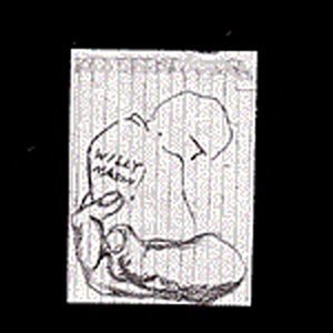 Untitled 5-song EP - Willy Mason - Music - G-MAA - 0616892594529 - July 20, 2004